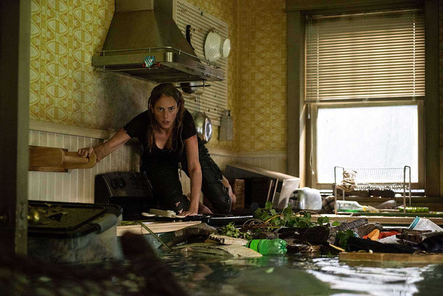 2019’un Zorlama (Yazlık) Gerilim Filmi: CRAWL