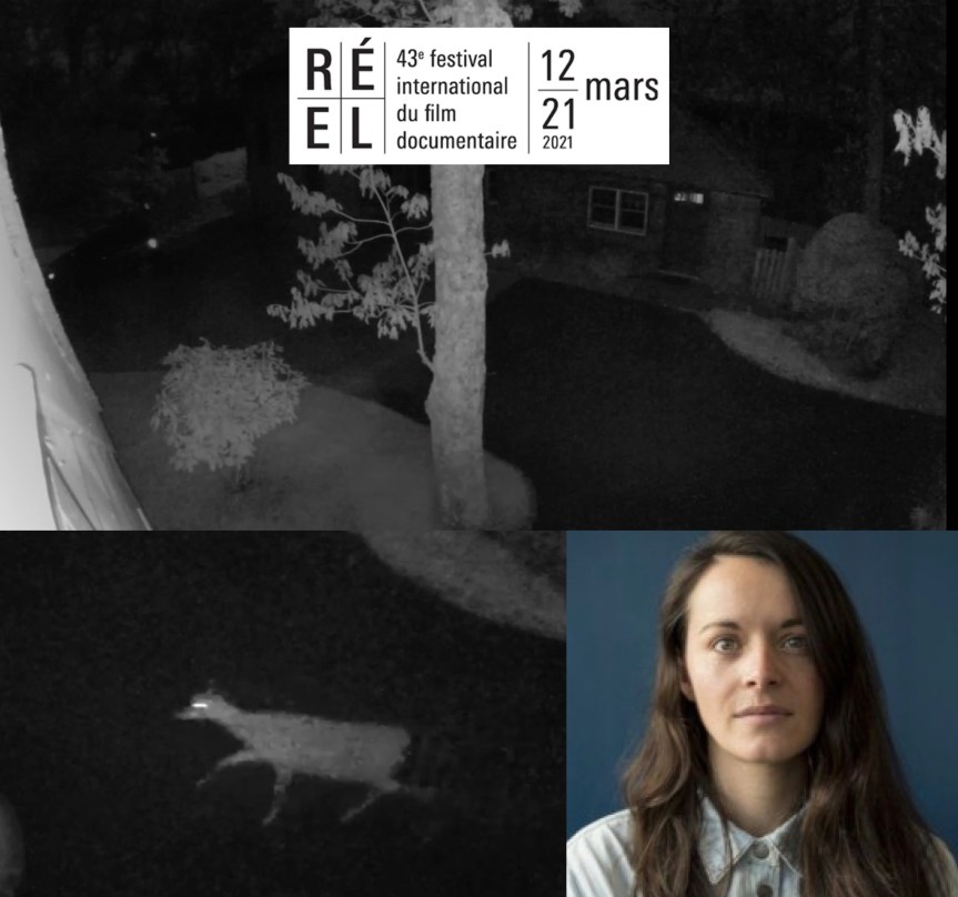 NIGHTVISION: İzleniyor Olmanın Dayanılmaz Artçı Şokları (Cinéma du Réel – 2)